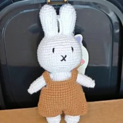 Rabbit in overalls