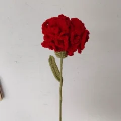 Carnation stem
