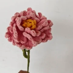 Peony stem