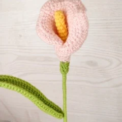 Calla lily stem