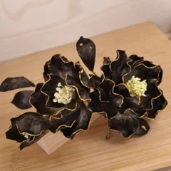 Gold-edged dark peony