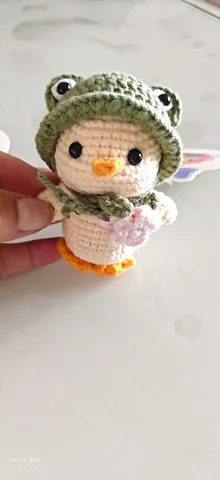 Frog-hat duck