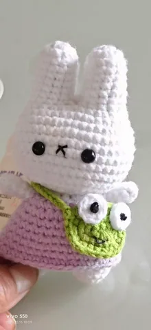 Rabbit with frog pouch